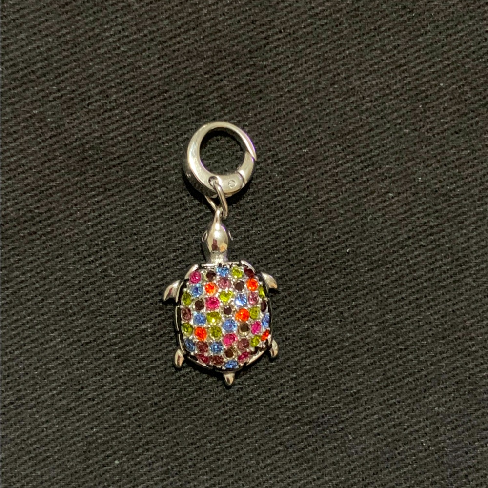Fossil turtle charm